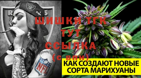 PSILOCYBIN Иннополис