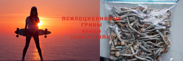 крисы Абдулино