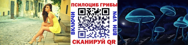 блэк спрут ТОР  Тында  Галлюциногенные грибы Cubensis 