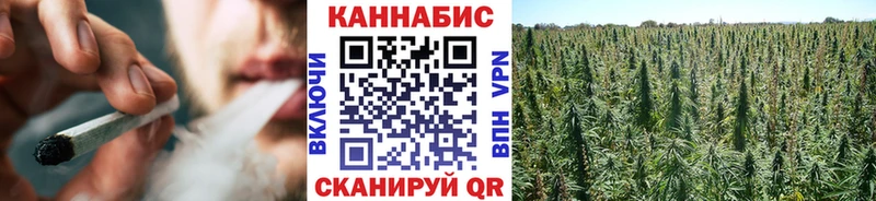 МАРИХУАНА сатива  Тында 